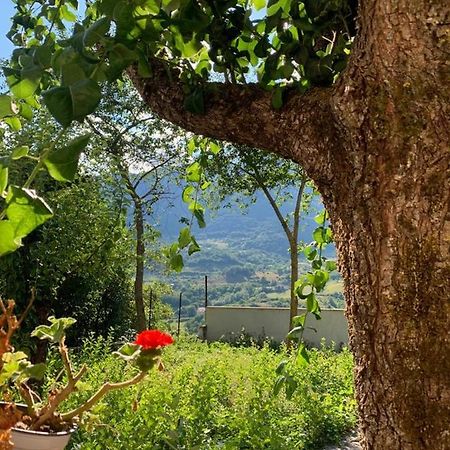B&B Al San Francesco Castel Di Sangro Luaran gambar